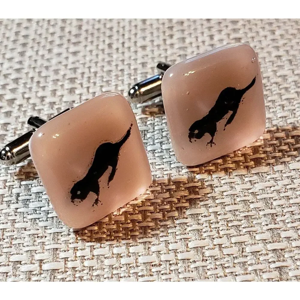 Pink Lucite Badger‎ 1960s Vintage Cuffllinks / Cuff Links- Mid-century cl-